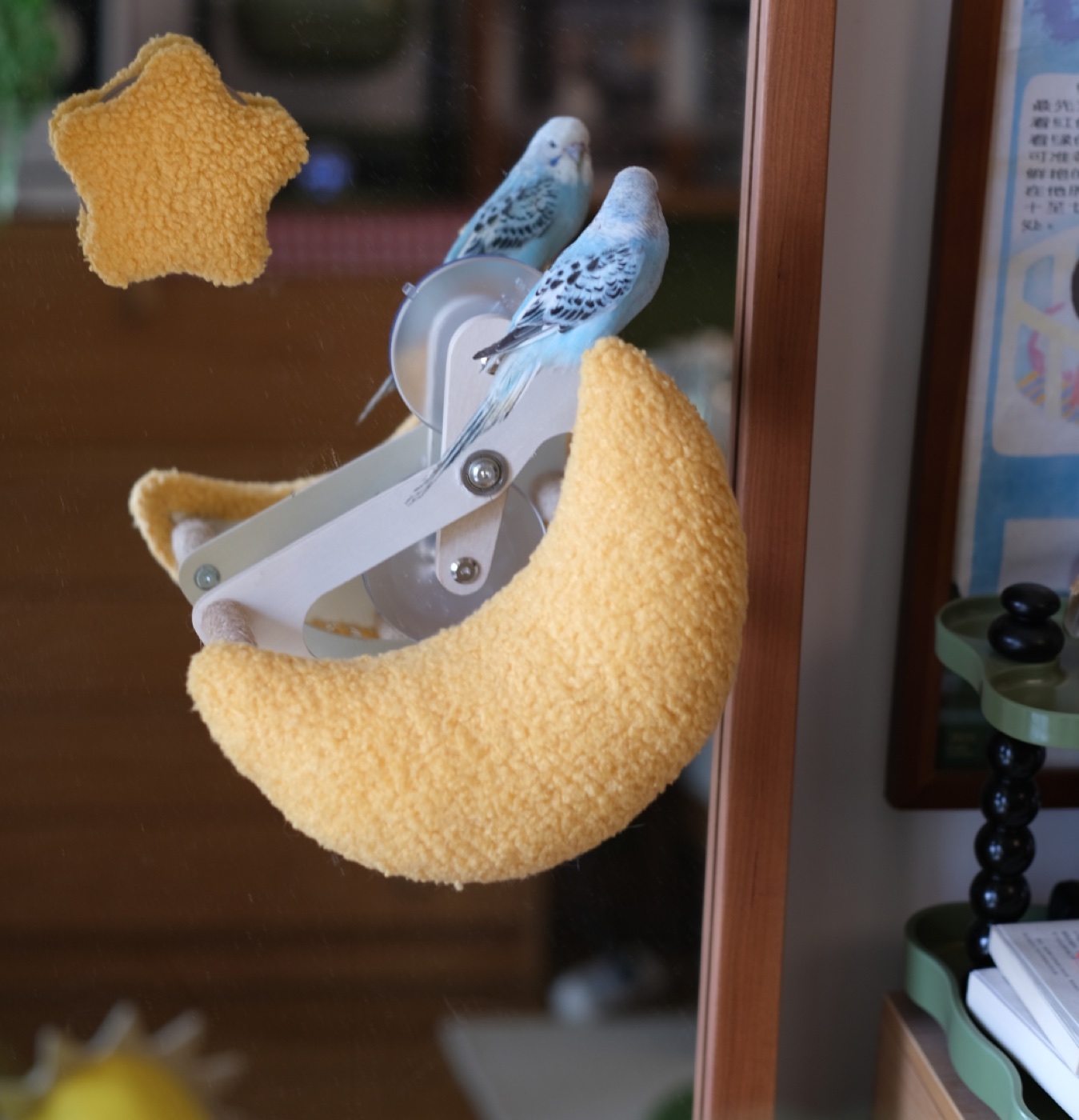 Bird Accessories