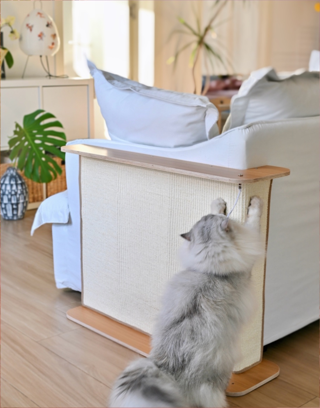 Scratching & Accessories