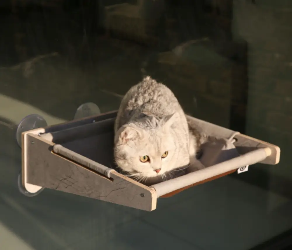 Cat Wall Panel Set — Four Sizes product detail
