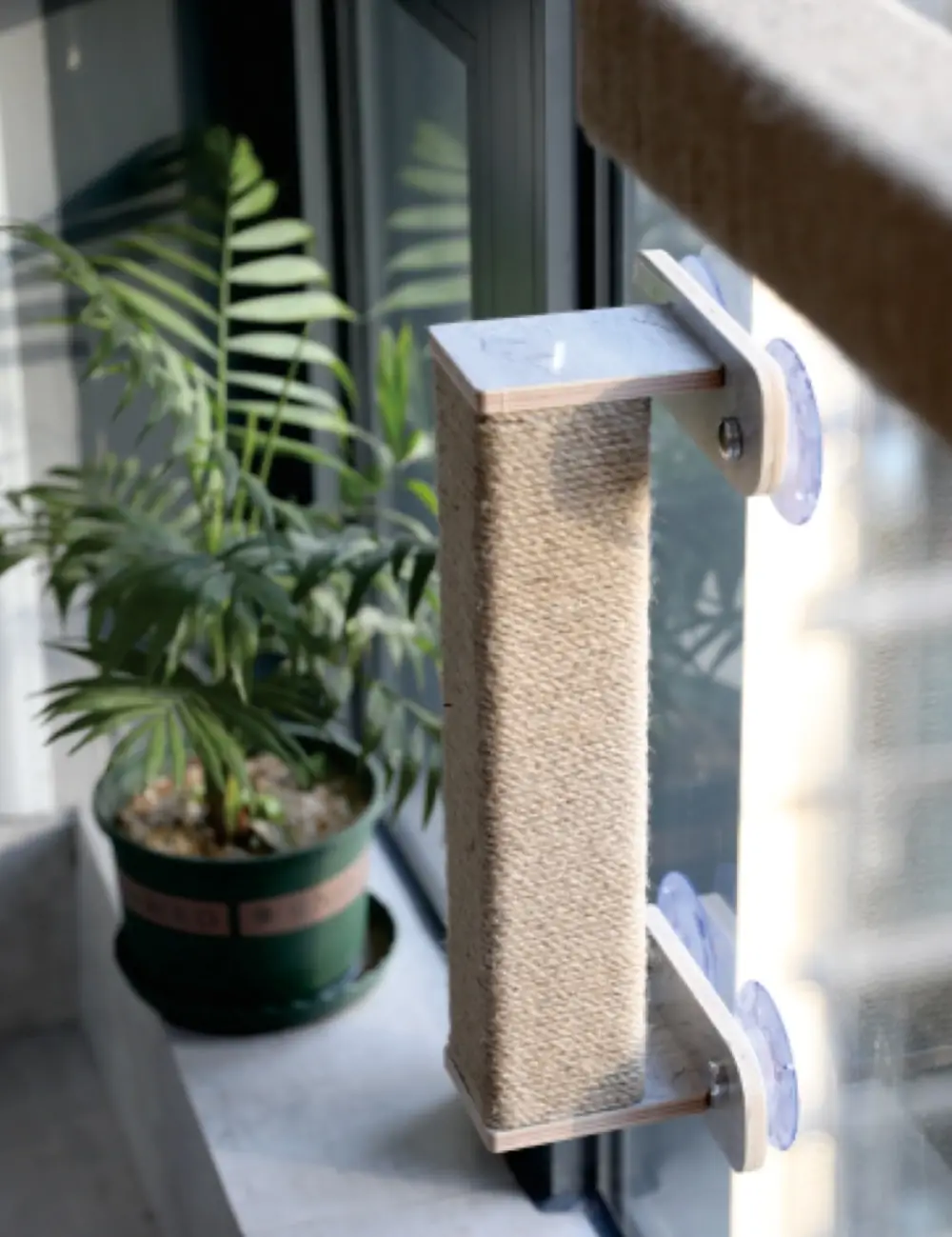 Cat Wall Panel Set — Four Sizes product detail