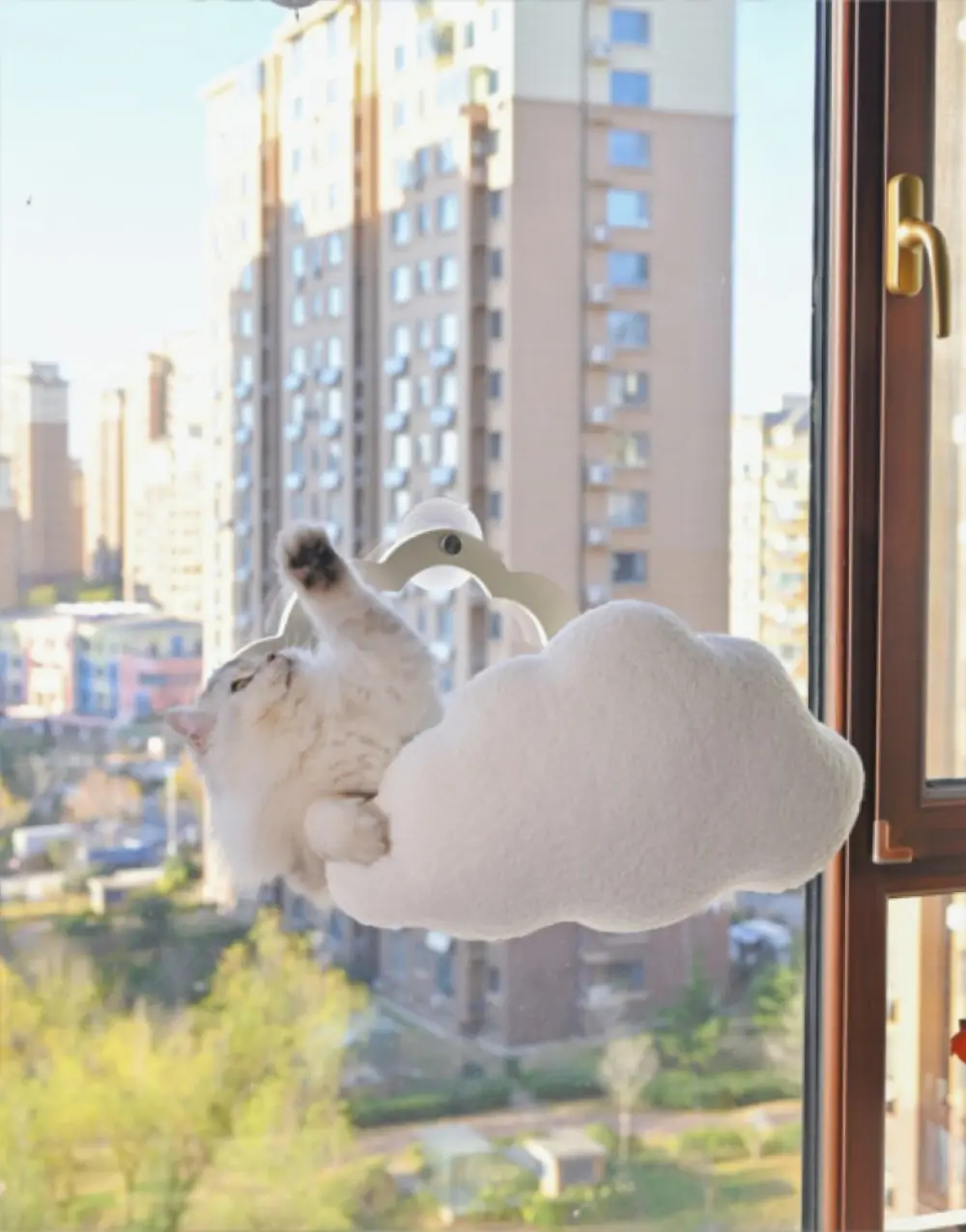 Cloud Hammock product detail