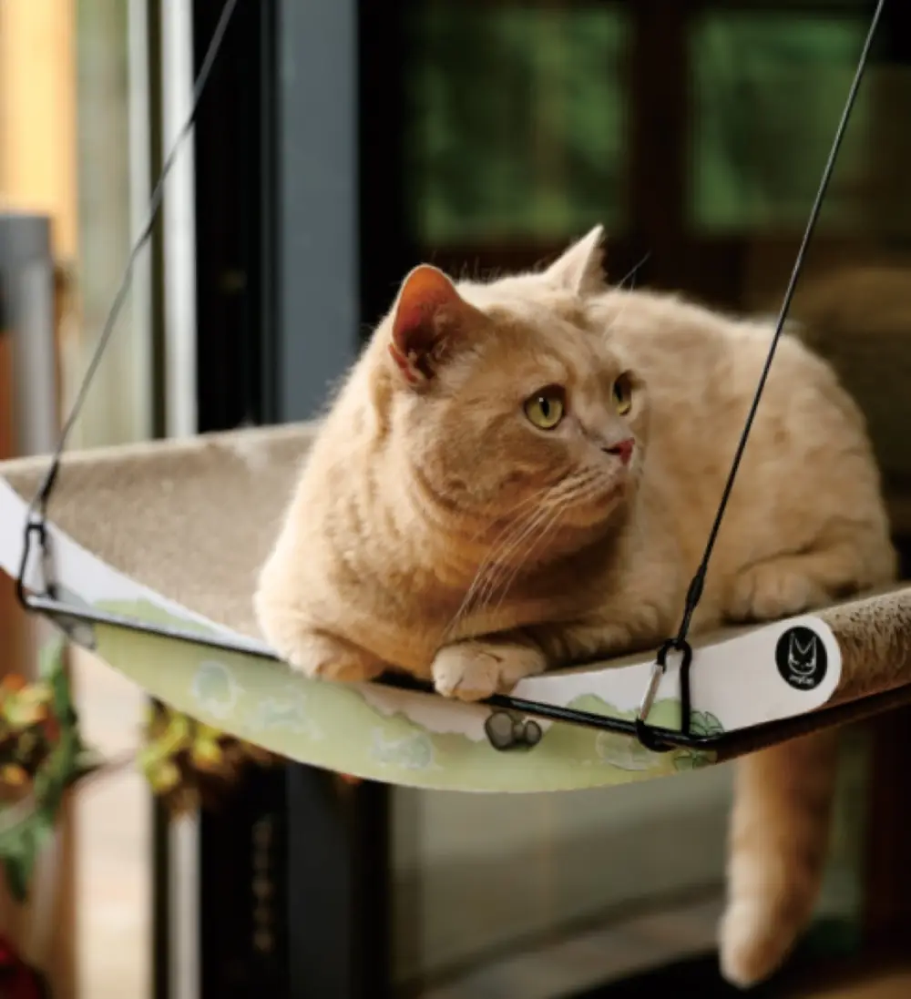 Corrugated Board Hammock product detail