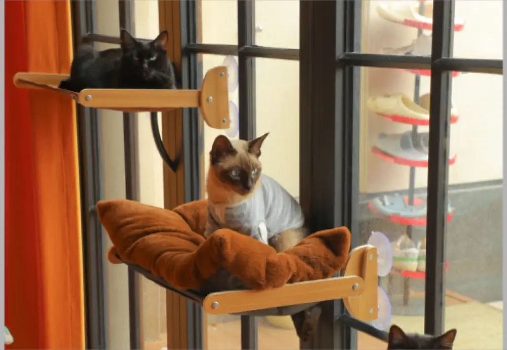 Foldable Window Perch product detail