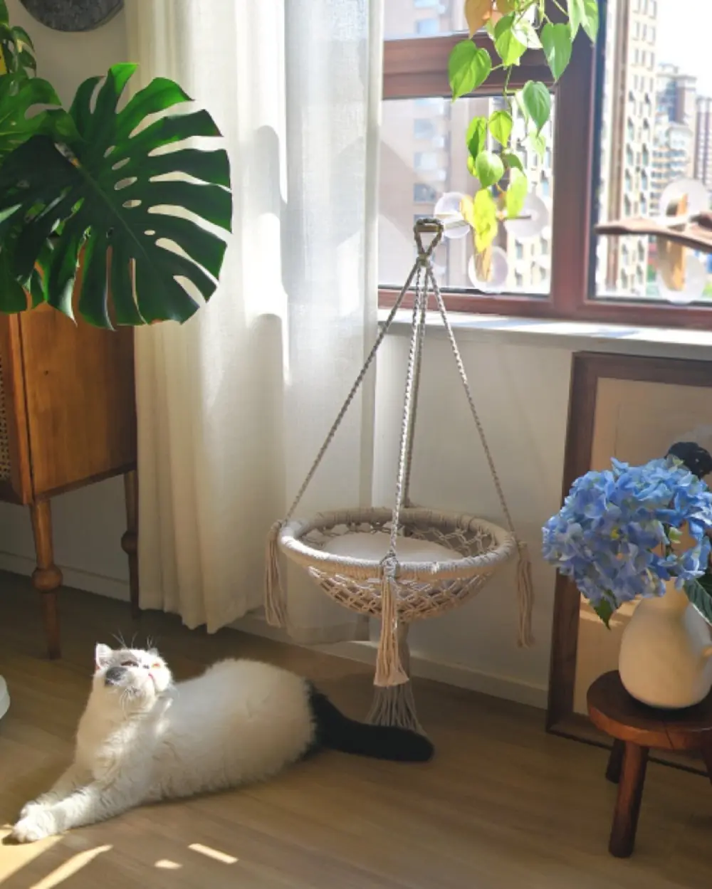 Glass Cat Wall — Wood Finish product detail