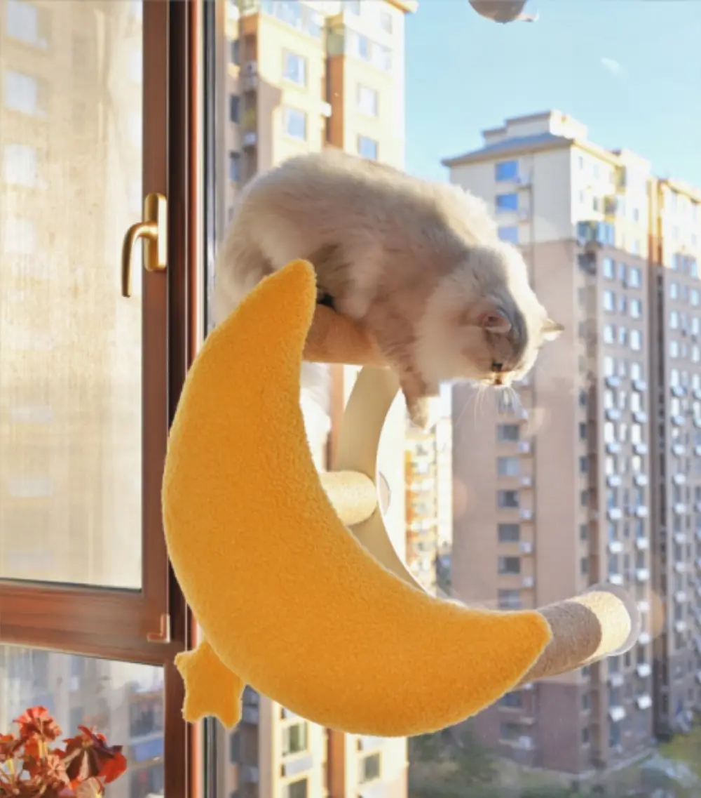 Moon Climbing Frame product detail
