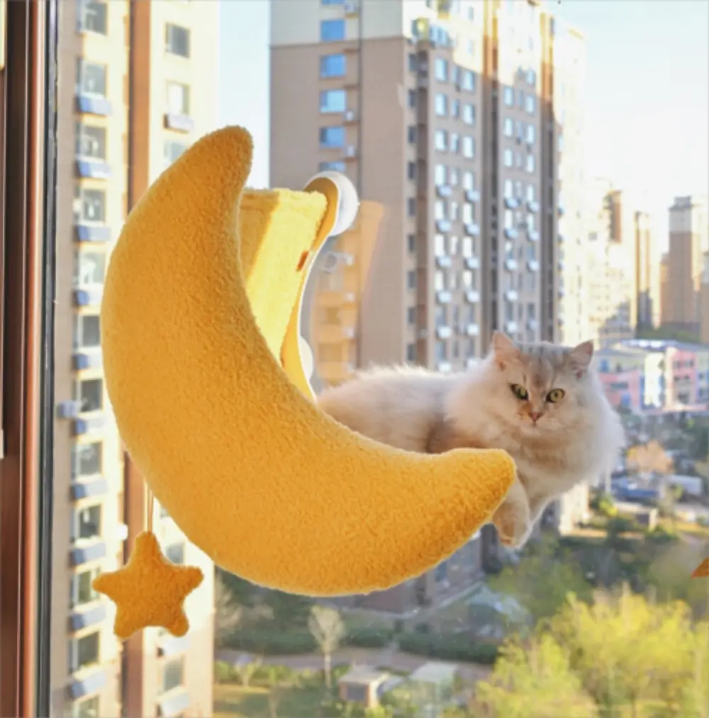 Moon Hammock