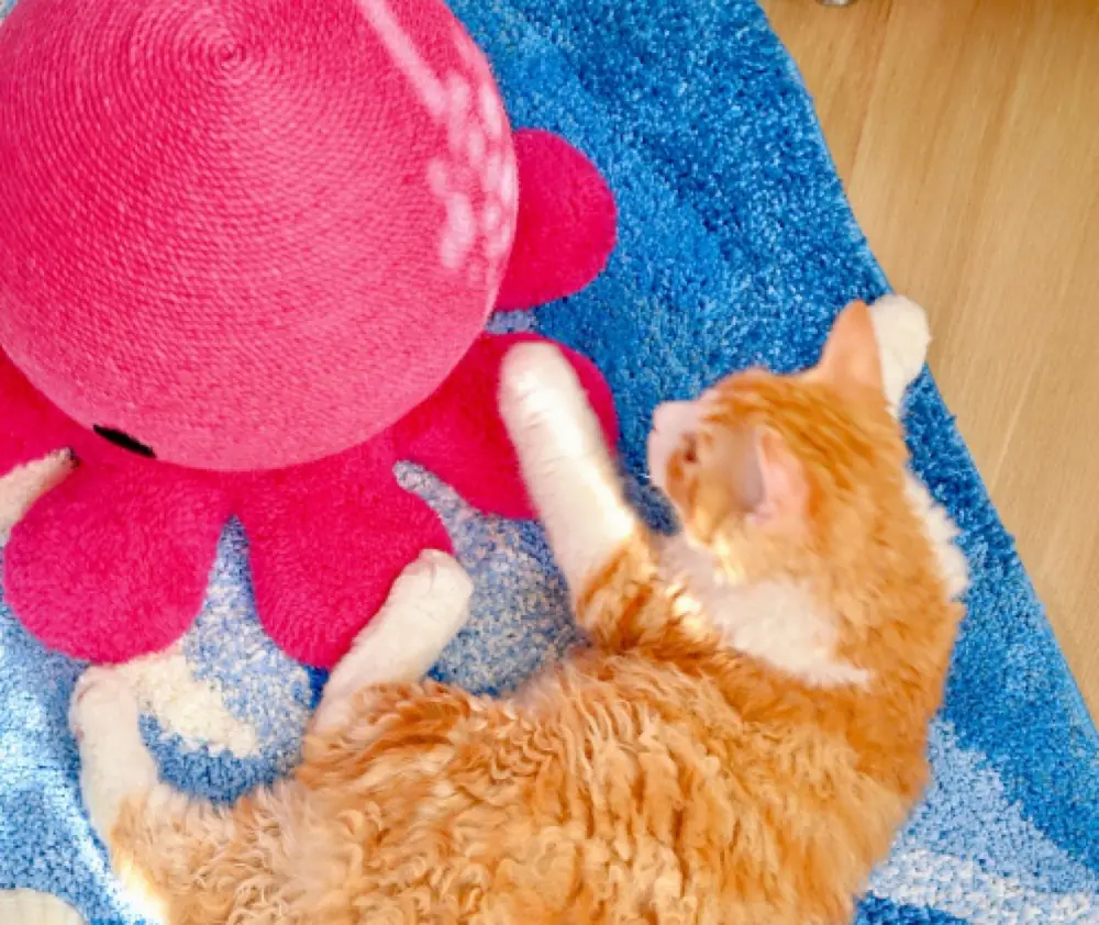 Octopus Cat Wicker Scratch Ball product detail