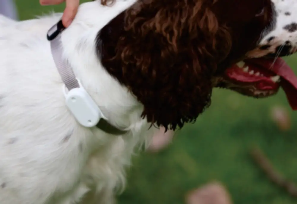 Pet Tracker product detail