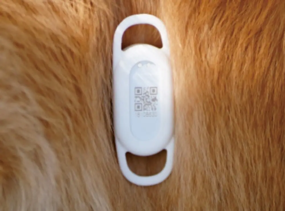 Pet Tracker product detail