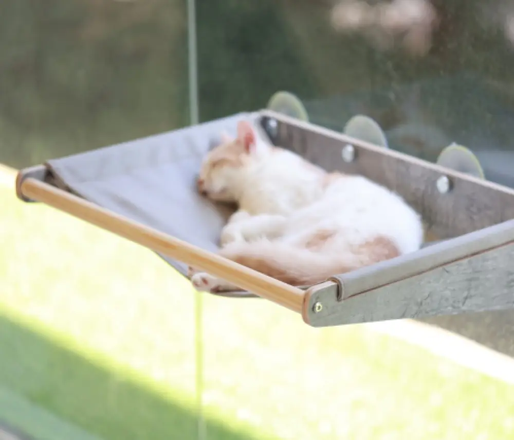 Sky Cat Wall — Grey product detail