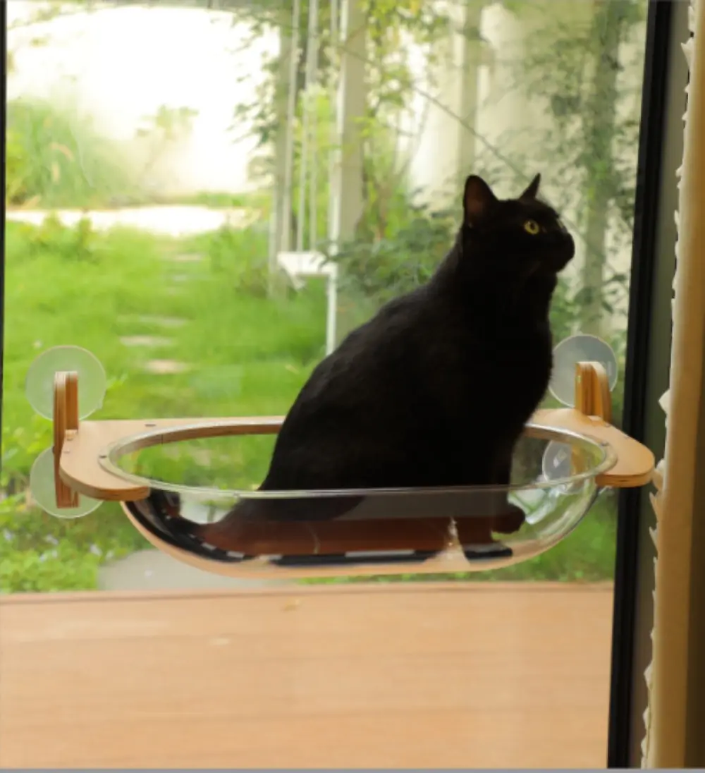 Cat Window Perch — Acrylic Bowl Type