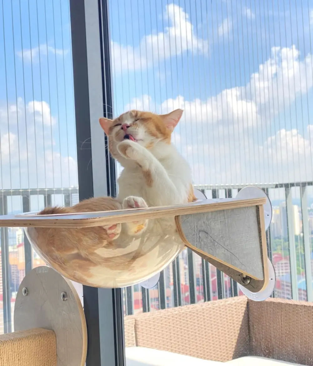 Cat Window Perch (Gray)