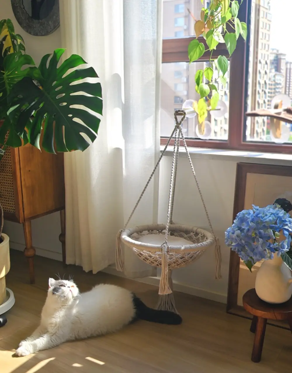 Cat Window Perch (Wood) product detail