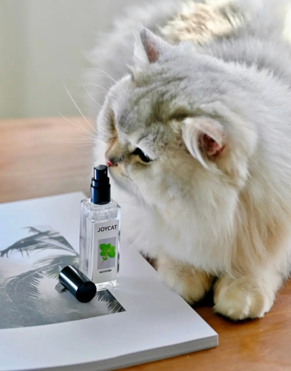 Catnip Extract Spray