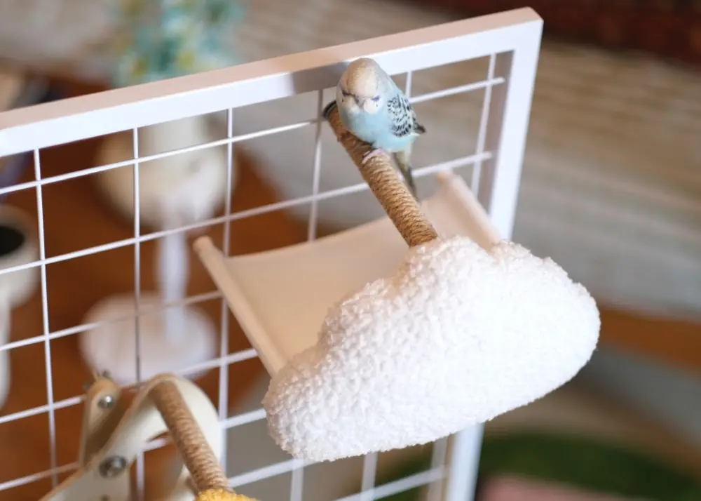 Cloud Bird Platform product detail
