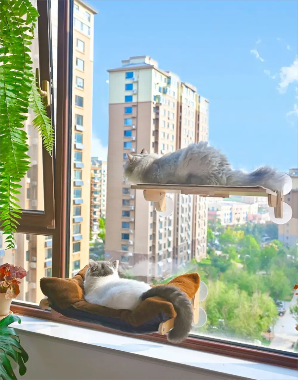 Foldable Window Perch