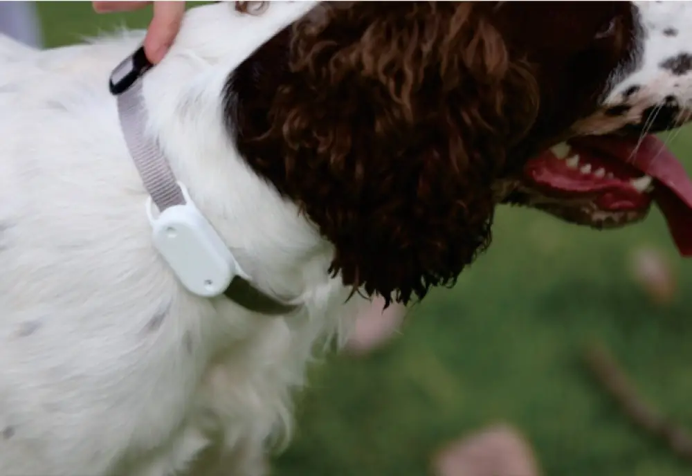 Pet Tracker product detail
