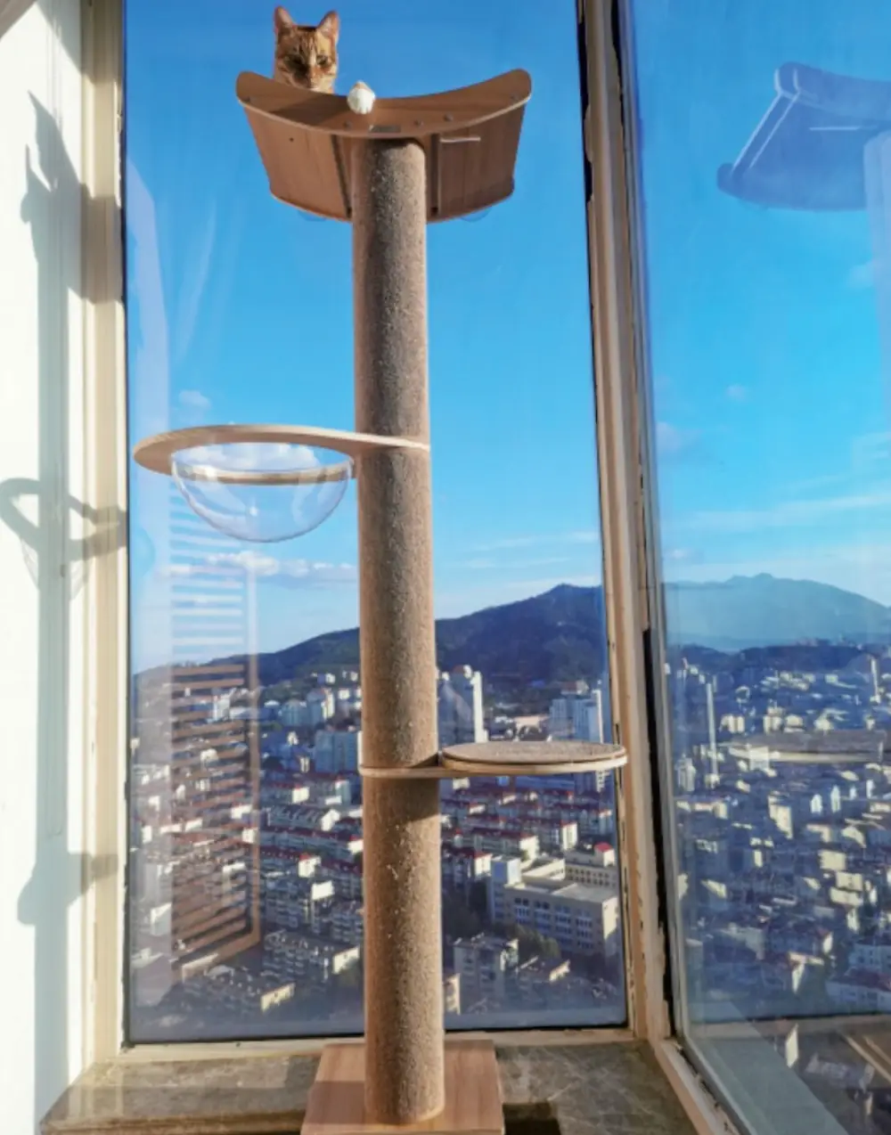 Top-Relying Cat Tree