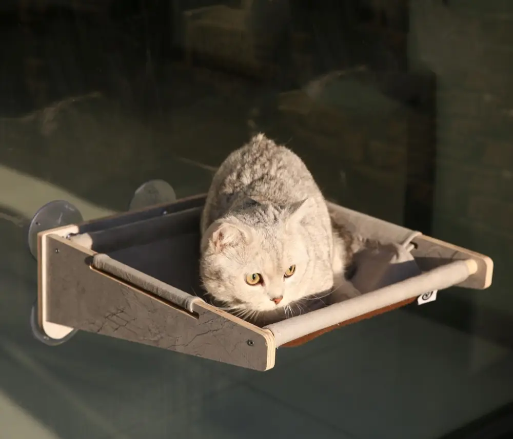 Cat Window Hammock (Standard)